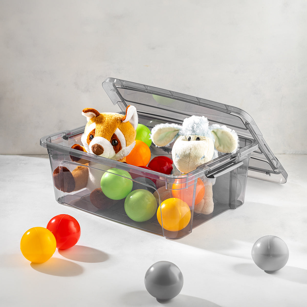 Plastic Royal Box container