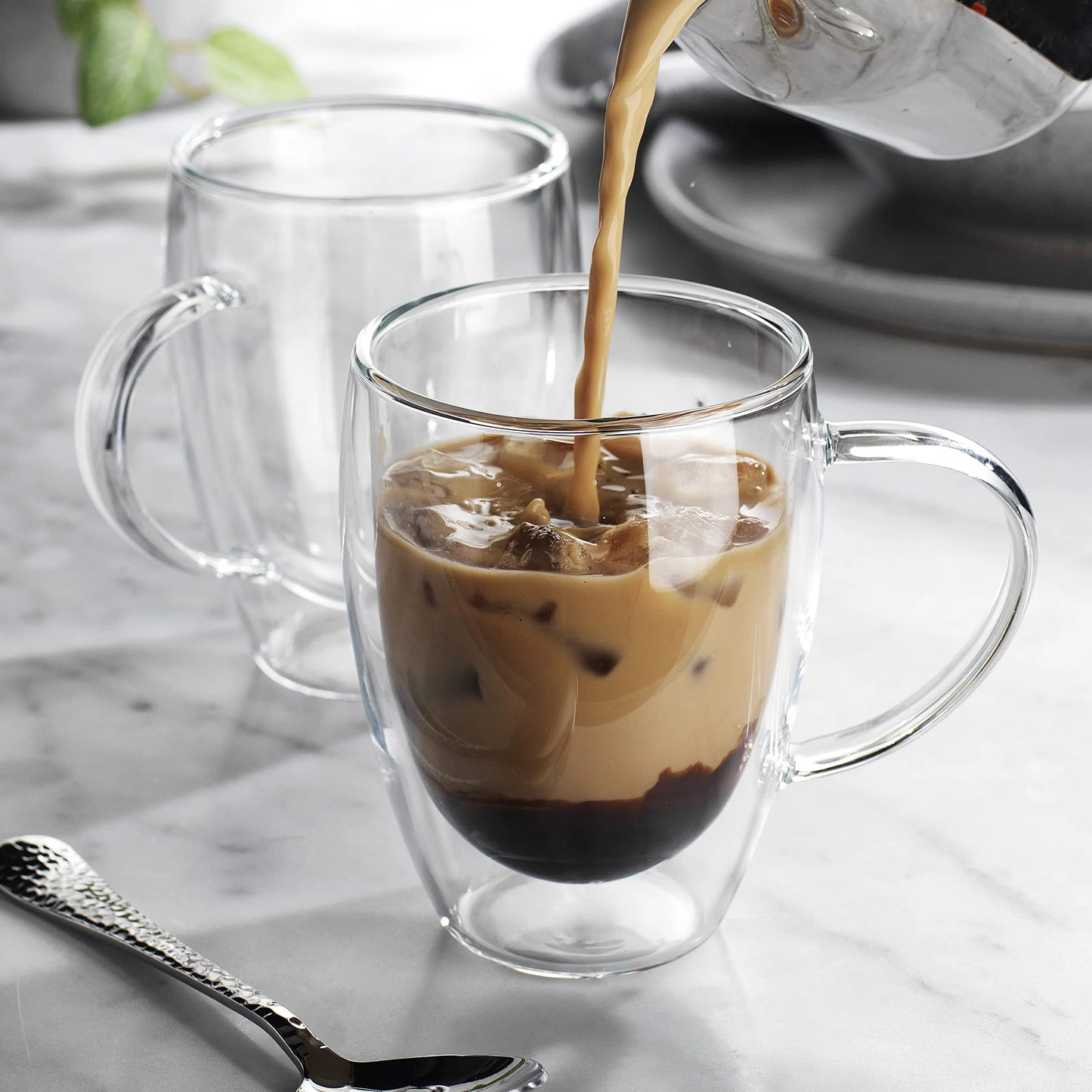 Double Wall Glass Mug