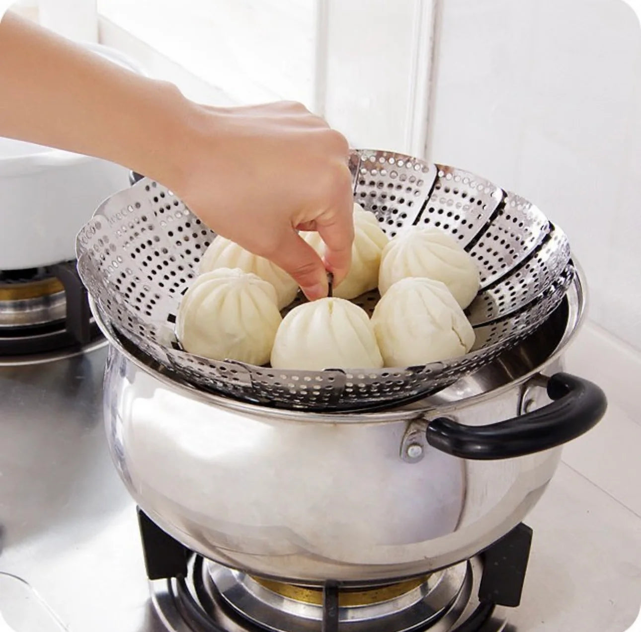 Vegetable Steamer