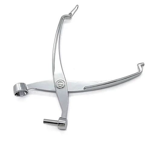 Olive & Cherry Pitter