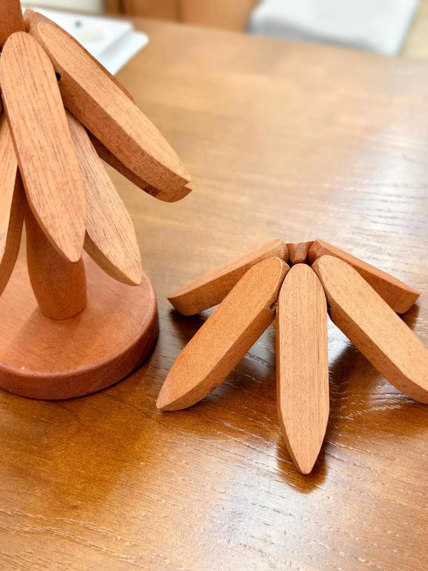 Trivet Coaster (Set of 4)