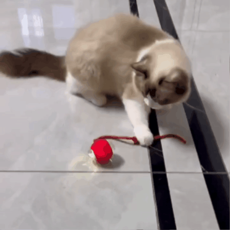 Interactive Pet Smart Ball Toy