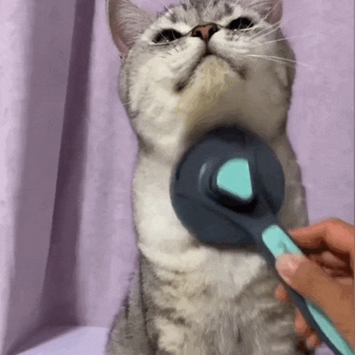 Pet Hair Comb