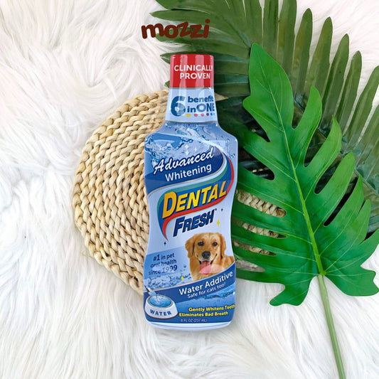 Pet Dental Fresh 503ml