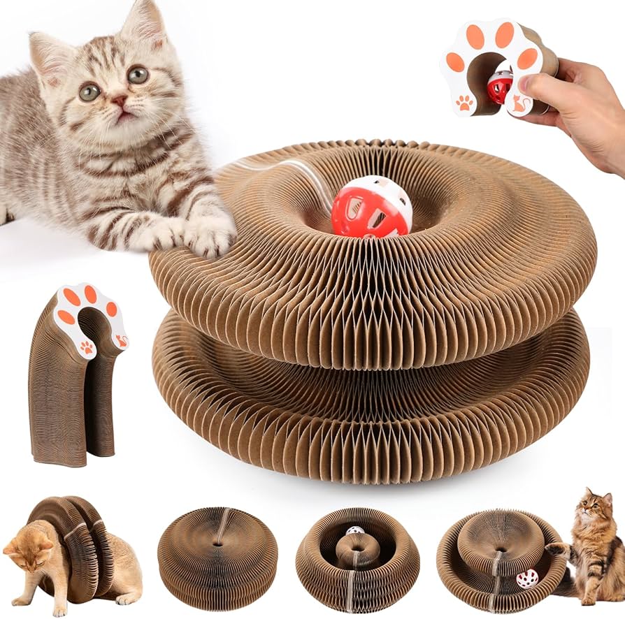Magic organ cat scratching board