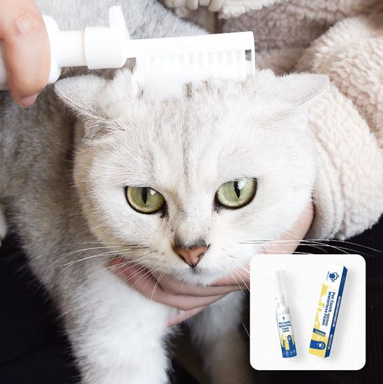 Pet comb waterless foam