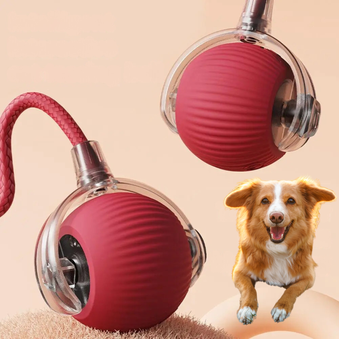 Interactive Pet Smart Ball Toy