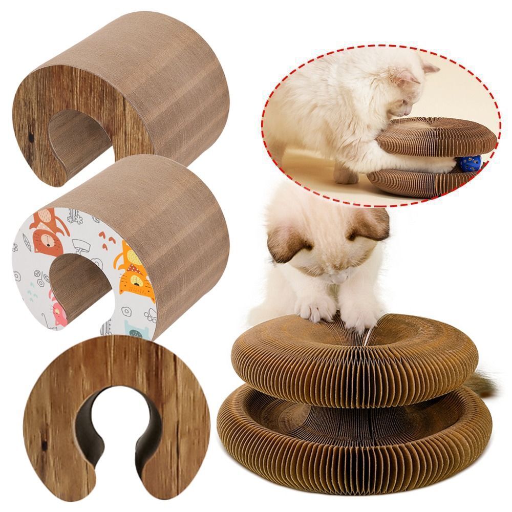 Magic organ cat scratching board