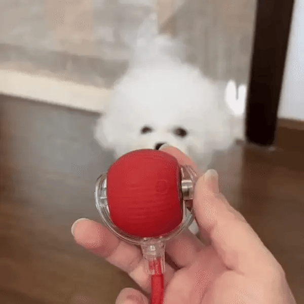 Interactive Pet Smart Ball Toy