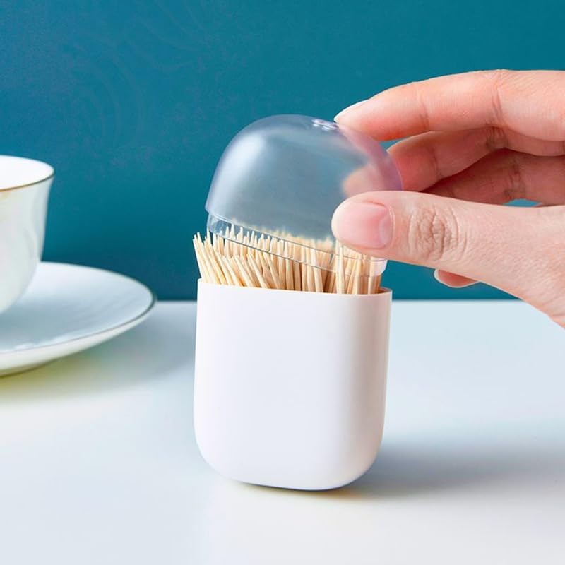Magnetic  Toothpick Box