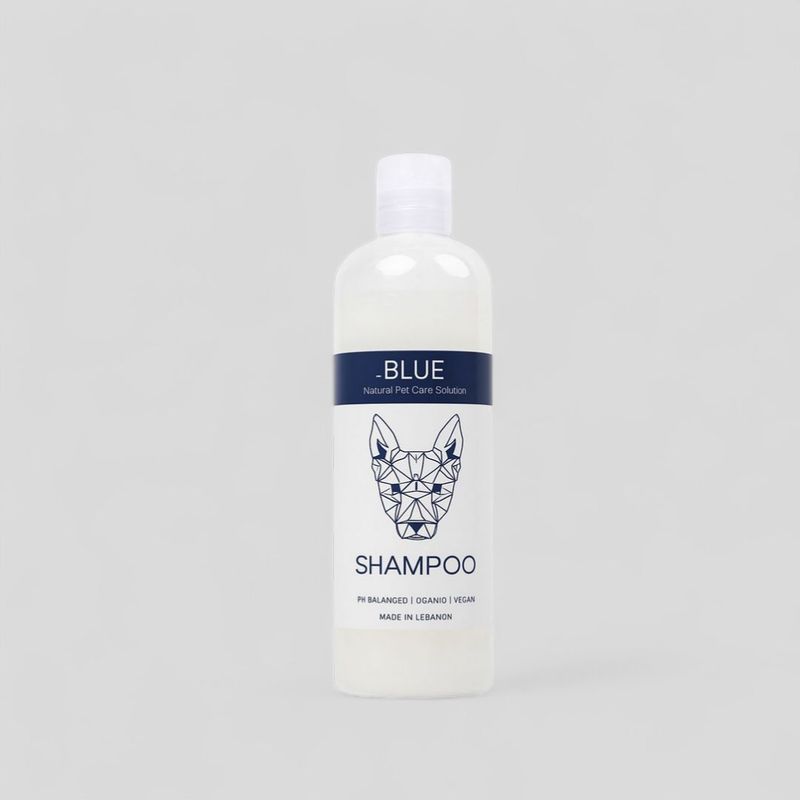 Shampoo