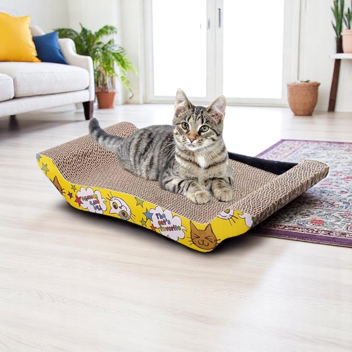 Scratching Board