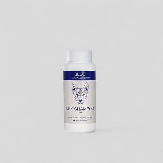 DRY SHAMPOO BLUE