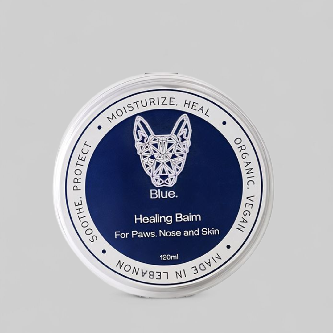 HEALING BALM FOR PAWS NOSE AND SKIN