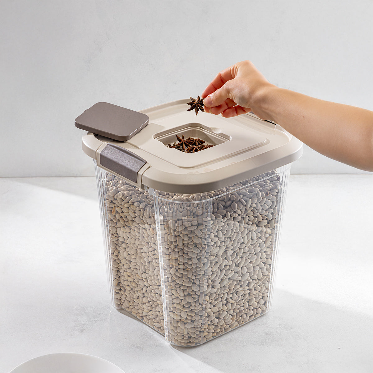 Royal Box with Anti Weevils Compartment