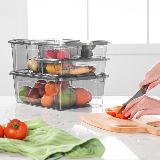 Plastic Royal Box container