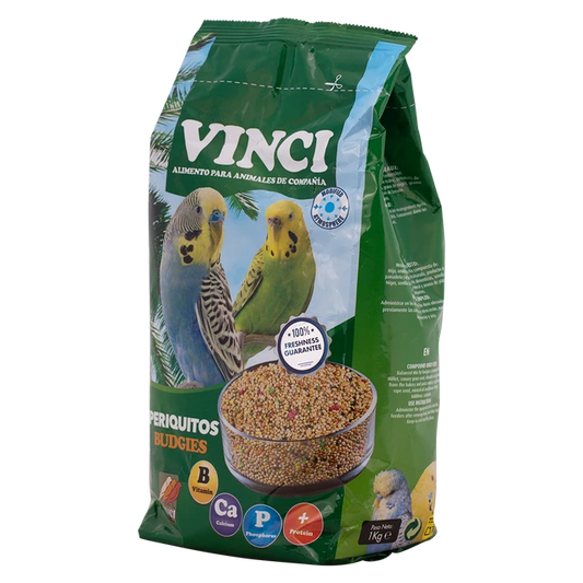 VINCI PERIQUITOS BUGIES