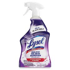 Lysol Mold & Mildew Foam