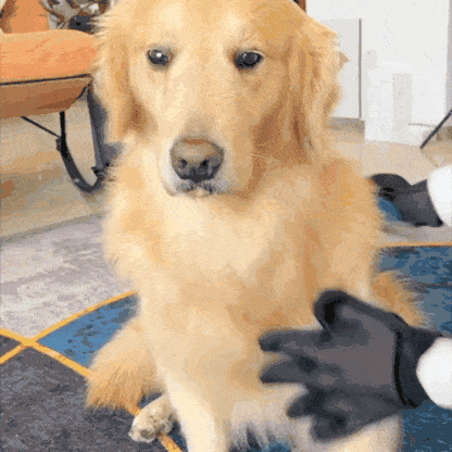Pet Deshedding Glove