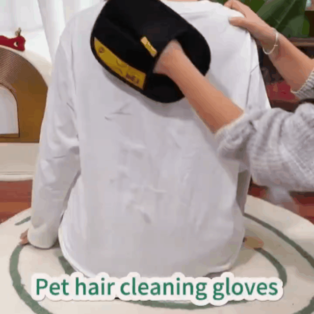 Pet Hair Removal Glove with Dual-Sided Electrostatic Bristles