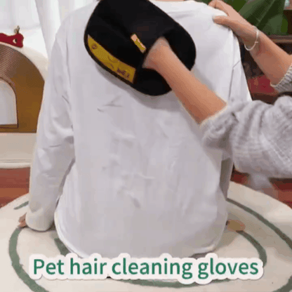 Pet Hair Removal Glove with Dual-Sided Electrostatic Bristles