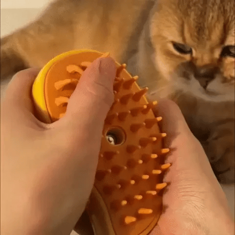 Steamy Cat Brush