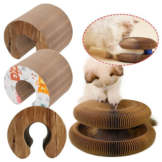 Magic organ cat scratching board