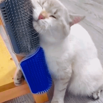Cat self groomer Cat brush