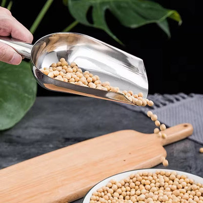 Stainless Steel Scooper