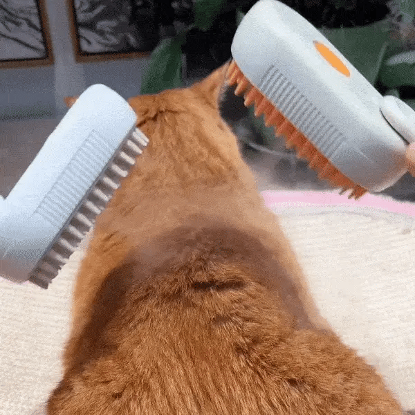 3 in 1 steam Massage Pet Brush – Souksville