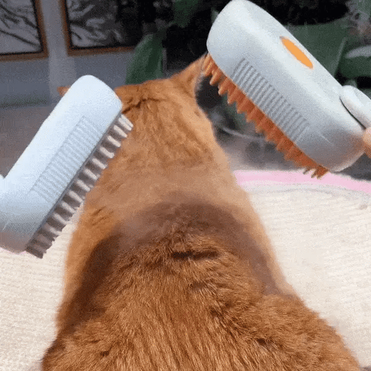 3 in 1 steam Massage Pet Brush